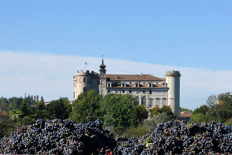 Iollarum - Castello di Costigliole d'Asti.