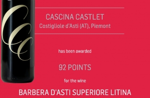 Litina Barbera d'Asti Superiore docg 2016 