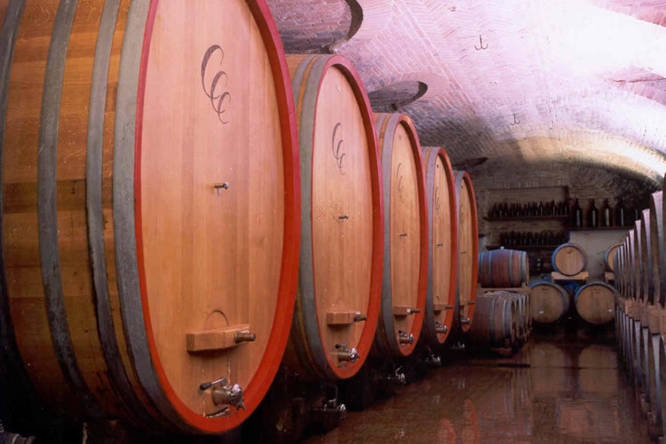The barrels that cradle the ageing of the wine.