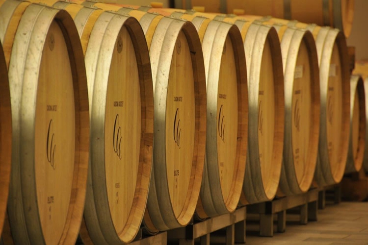 The barrels that cradle the ageing of the wine.