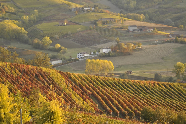 Unesco vineyard landscape - World Heritage.